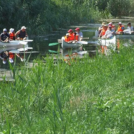 Fenyves Yacht Club Superior فندق بالاتونفينيفيس