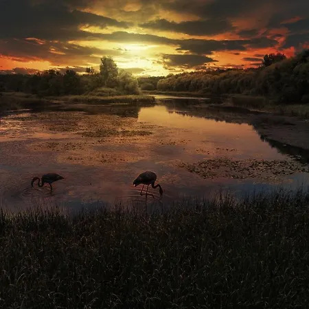 Fenyves Yacht Club Superior 3*