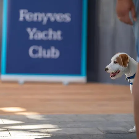 Fenyves Yacht Club Superior Hotell Balatonfenyves