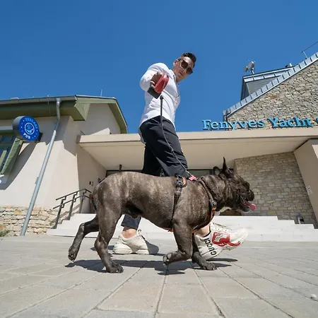 فندق Fenyves Yacht Club Superior بالاتونفينيفيس