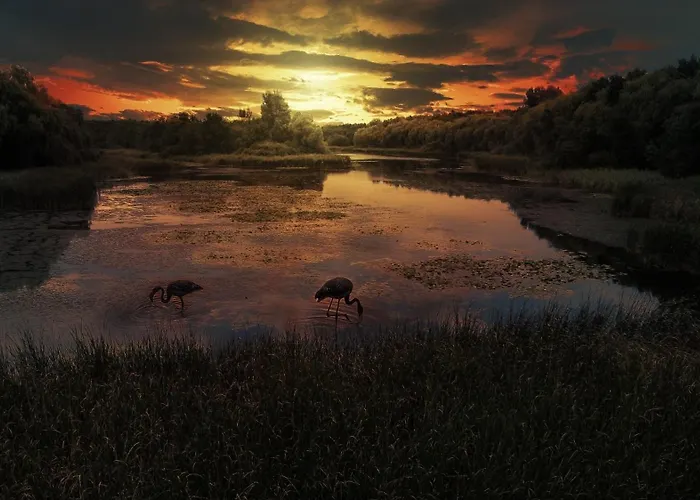 Fenyves Yacht Club Superior 3*