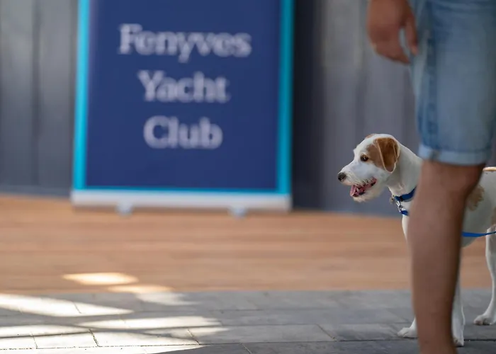 Fenyves Yacht Club Superior Отель Балатонфеньвеш